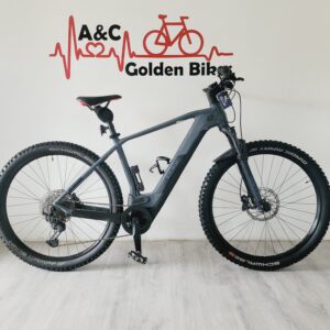 ❗️Cube  Reaction Race  29 Zoll Bosch MTB  Ebike  Top-Zustand ❗️