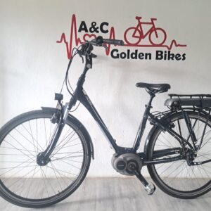 Viktoria  Ebike Tiefeinsteiger Damen