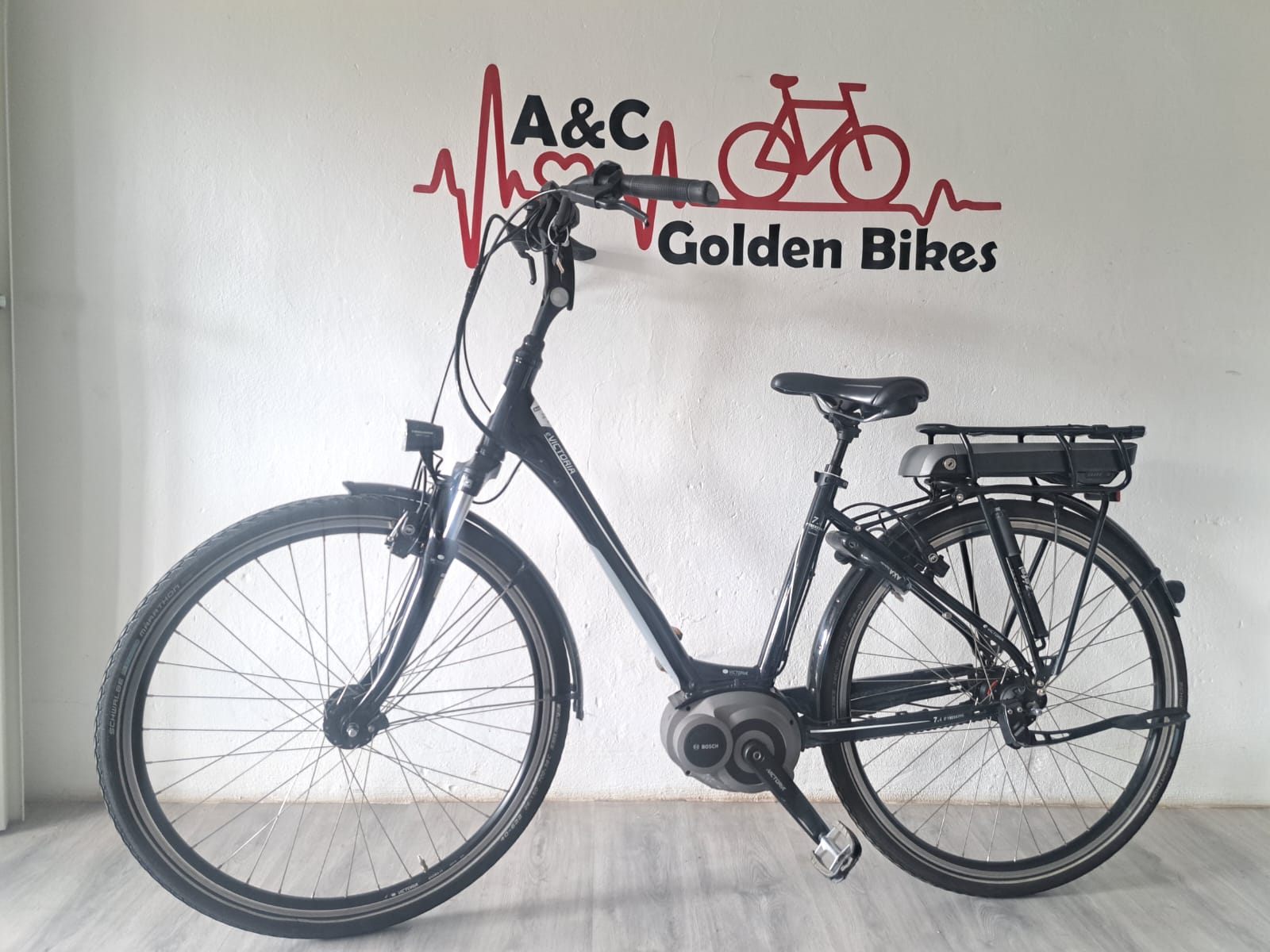 Viktoria Ebike Tiefeinsteiger Damen