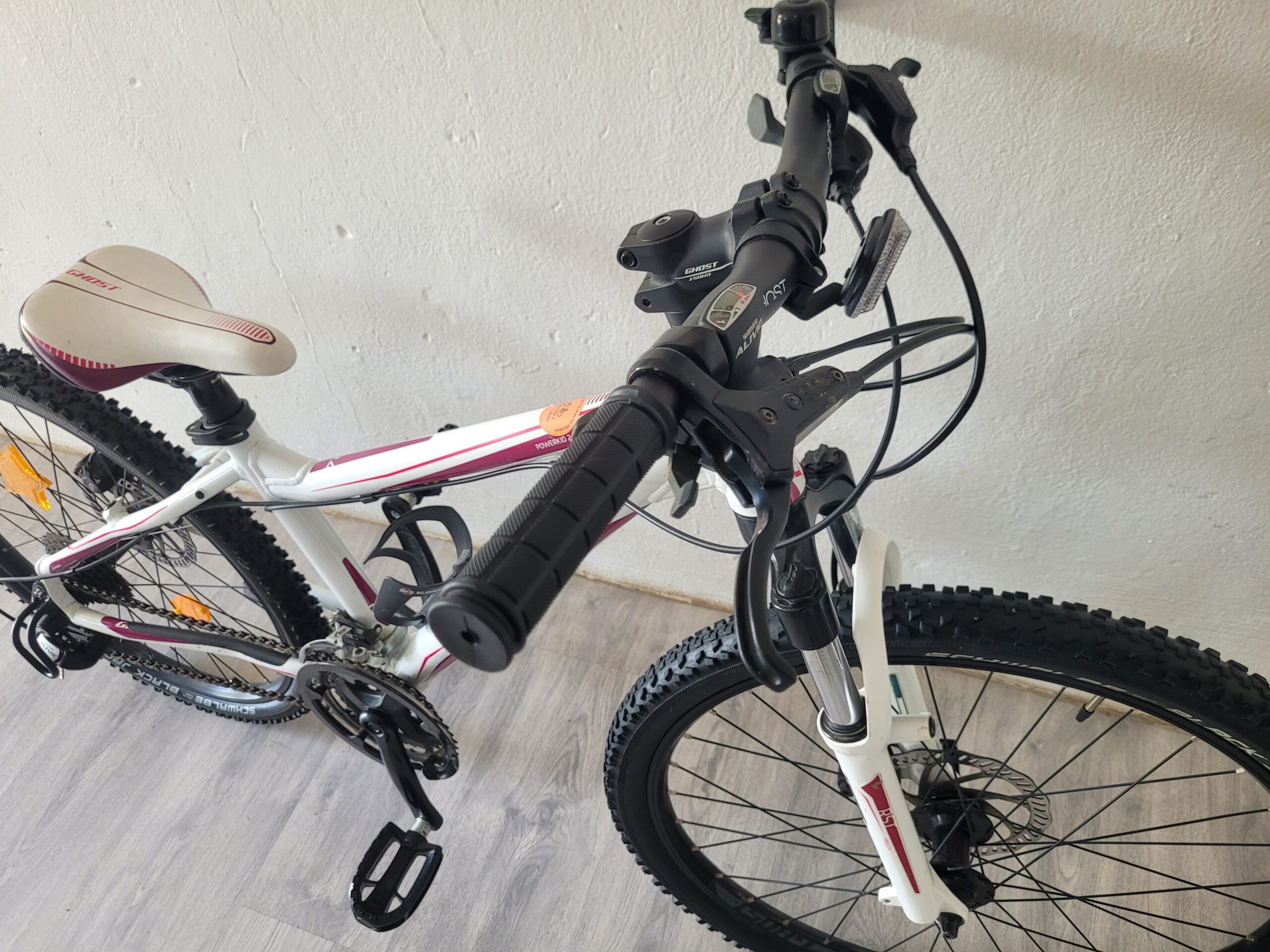 e bike damen Crazybird-Seta Elektrofahrrad für Erwachsene 500W Motor Spitzen-E-Bike  48V/14 Ah Abnehmbarer Akku Elektrofahrrad mit 7-Gang 26