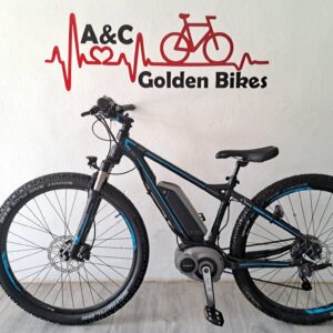 ‼️29 " Bergamont E Revox Jungen E Bike Damen Fahrrad Bosch ‼️
